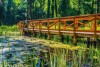 Okolica, Bonvital Wellness & Gastro Hotel Hévíz ****, Maďarsko