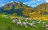 Niskie Tatry