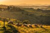 Beskid Sądecki, Polska