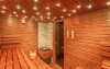 Drewniana sauna, Hotel Tetřeví Boudy ***, Dolní Dvůr, Czechy