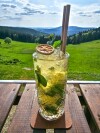 Restauracja, Hotel Tetřeví Boudy ***, Dolní Dvůr, Czechy