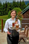 Restauracja, Hotel Tetřeví Boudy ***, Dolní Dvůr, Czechy
