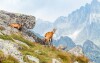 Wysokie Tatry, Słowacja