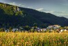Wellness Hotel Diplomat ****, Rajecké Teplice, Słowacja