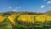 Baden, Austria