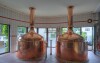 Piwo, Hotel Blesius Garten ****, Trewir, Niemcy