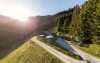 Mooslehenalm by Grossarler Hof, Salzburg, Austria