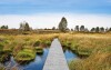 Park przyrody Hautes Fagnes-Eifel