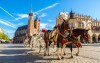 W historycznym centrum Krakowa regularnie można spotkać także konie