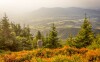 Beskidy