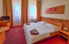 Pokój w Hotelu Renospond, Vysočina