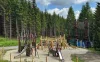 Plac zabaw, Hotel Kamzik ***, Jeseníky