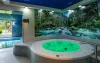 Wellness, Krasicki Resort Hotel & Spa ***, Świerad