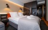 Pokój Deluxe, Hotel New Skanpol ***