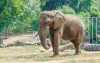 Zoo Nyíregyháza