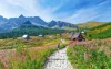 Polskie Tatry