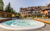 Wellness, Mountain Palace & SPA ***, Polskie Tatry