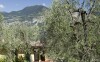 Drzewa oliwne i budynek, Hotel Rely ***, Brenzone sul Garda, Włochy