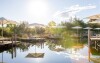 Naturalne kąpielisko, AVITA Therme Bad Tatzmannsdorf, Bad Tatzmannsdorf, Austria