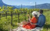 Winnica, Hotel Ansitz Rungghof ****, Appiano sulla Strada del Vino, Włochy