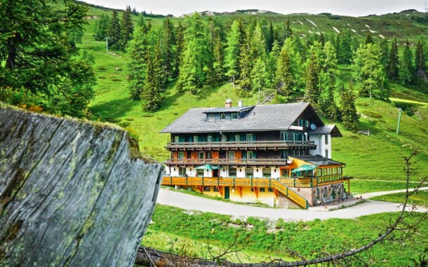 Hotel Alpen Arnika ***, Austria