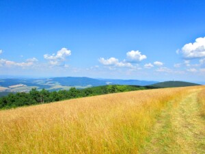Białe Karpaty