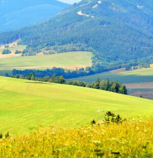 Góry Orlickie