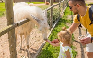 Zoo i akwarium w Peczu