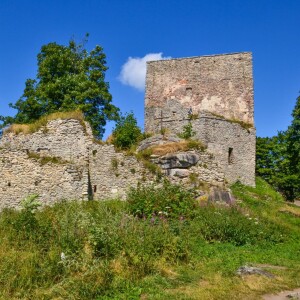 Zamek Vitka