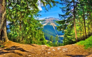 Tatry Niskie