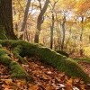 Zimne wzgórze