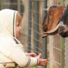 ZOO Kosice