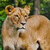 Ogrody zoologiczne i botaniczne