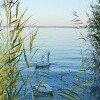 Mały Balaton