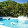 Basen i wellness Zielona żaba