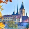 Miasto Louny