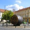 Miasto Žatec