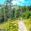 Polskie Karkonosze