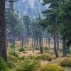 Narodowy Rezerwat Przyrody Šerák - Keprník