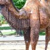 KOVOZOO Stare Miasto