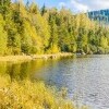 Plešné jezioro