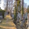 Cmentarz żydowski w Trebicu