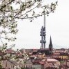 Wieża telewizyjna Žižkov