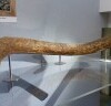 Muzeum Morza Panońskiego w Miszkolcu