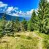 Wieża widokowa na górze Młynica