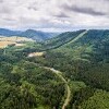 Wieża widokowa Dzikowiec