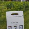 Winiarnia Kristinus