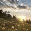 Ścieżka dydaktyczna Orawska Leśna