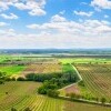 Obszar Chronionego Krajobrazu Pálava