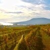 Region winiarski Badacsony